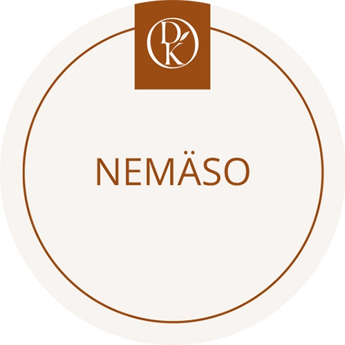 Nemäso