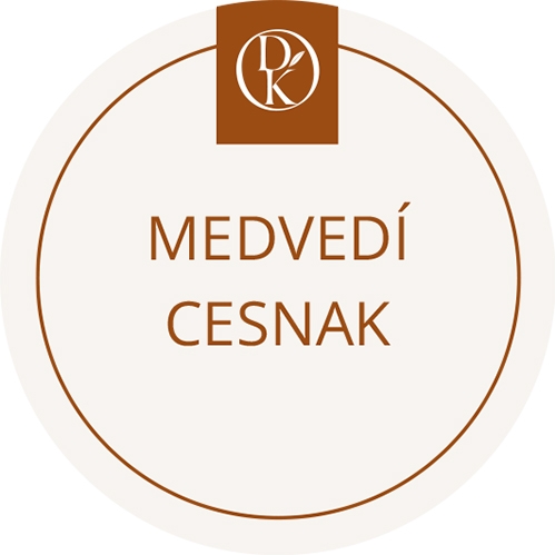 Medvedí cesnak